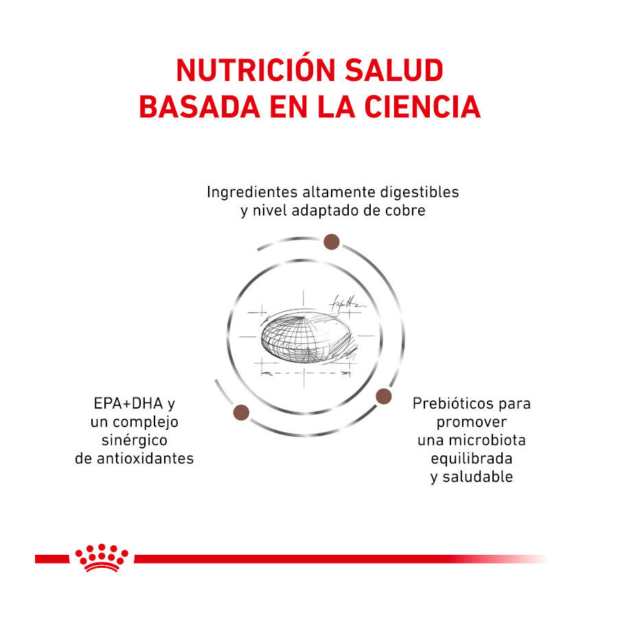 4 kg Royal Canin Veterinary Hepatic pienso para gatos, , large indicador imagen numero 2