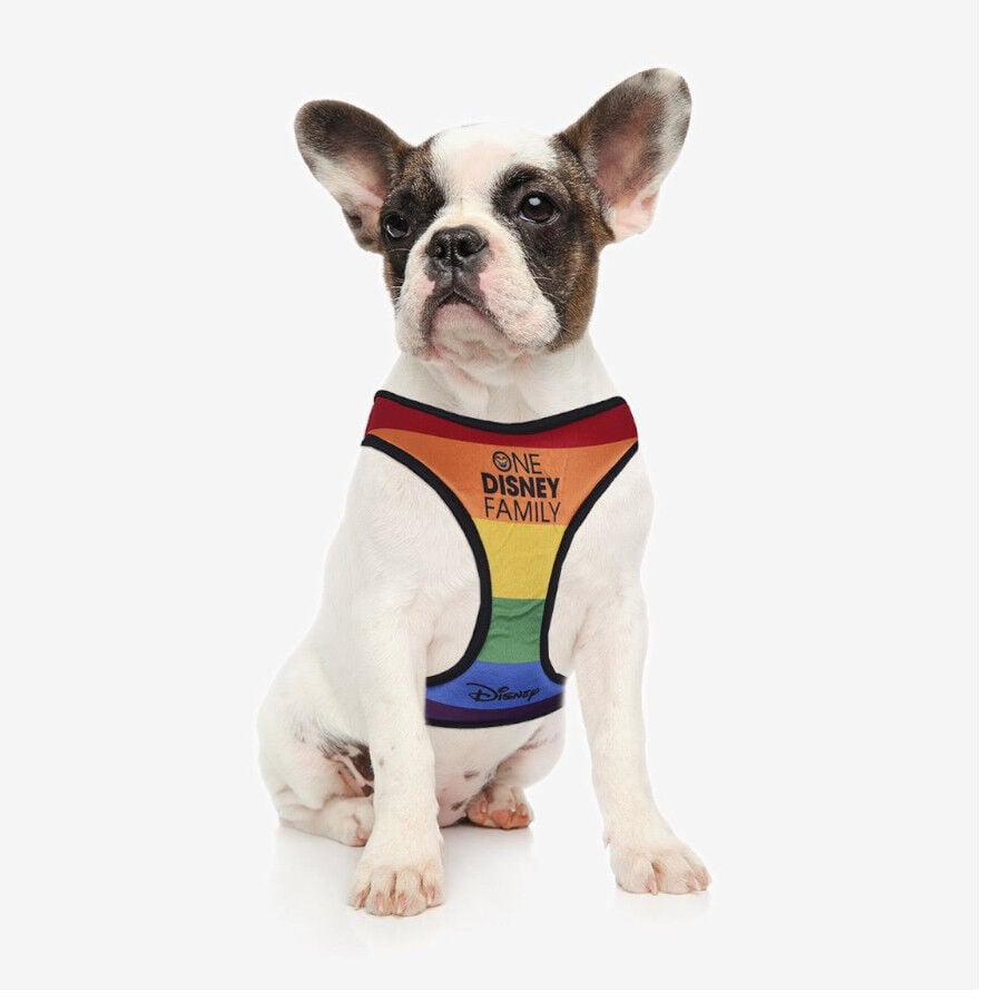 Disney Pride Arn&eacute;s multicolor para perros, , large indicador imagen numero 2
