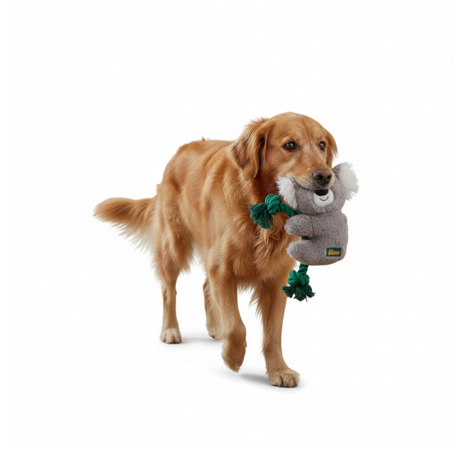 All For Paws Safari Cuddle Koala con Cuerda Juguete para perros