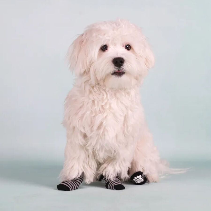 Karlie Calcetines Negro y Gris para perros, , large indicador imagen numero 3