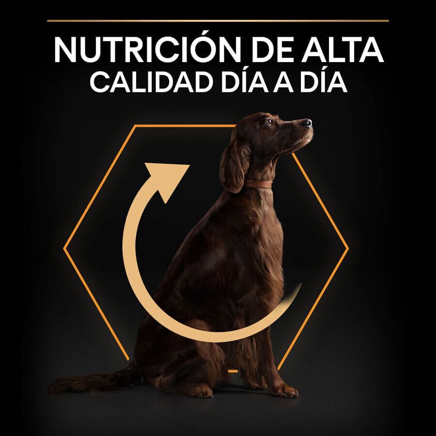 14 kg Pro Plan Large Athletic Adult Pollo pienso para perros, , large Imagen numero 8