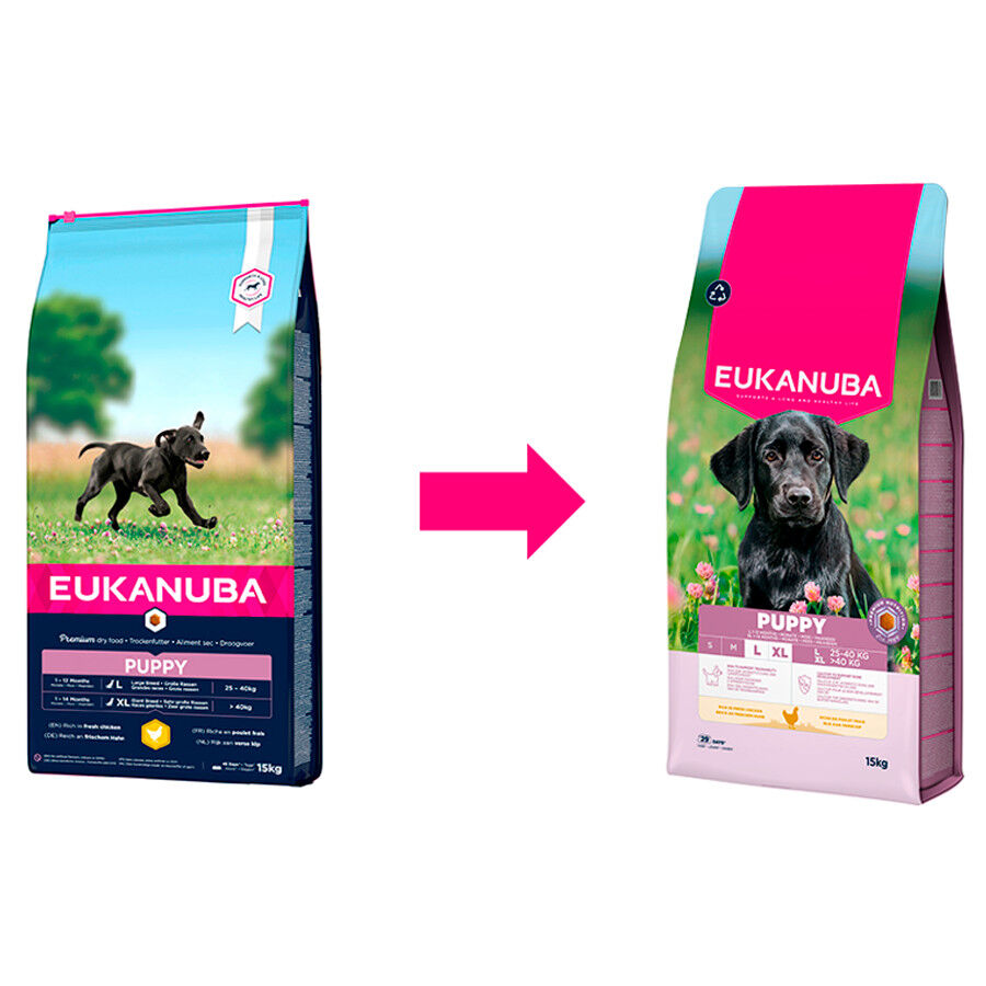 3 kg Eukanuba Puppy Large Pollo pienso para perros, , large Imagen numero 2