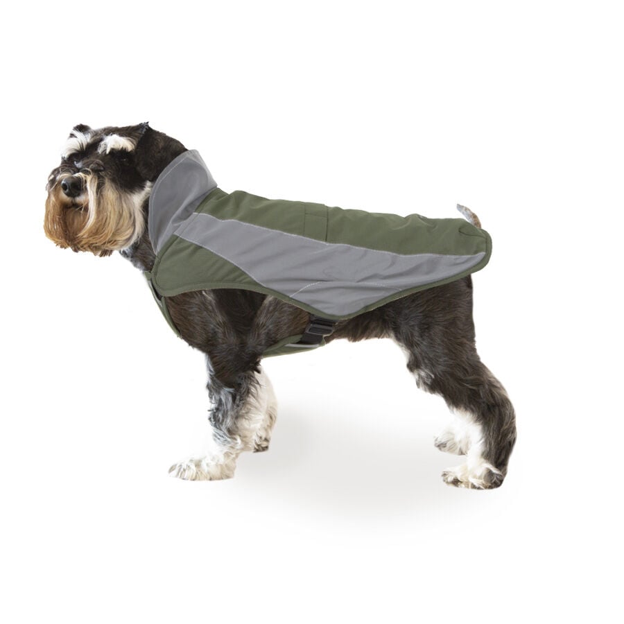 Outech Dakar Impermeable verde para perros, , large Imagen numero 1