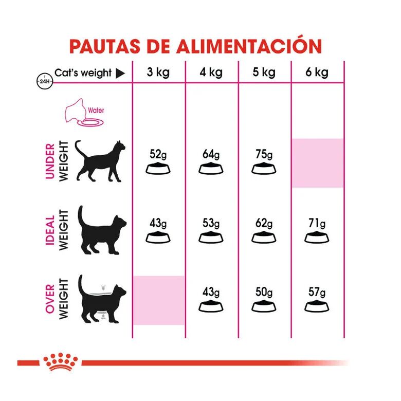 2 kg Royal Canin Adult Exigent Protein pienso para gatos, , large indicador imagen numero 6