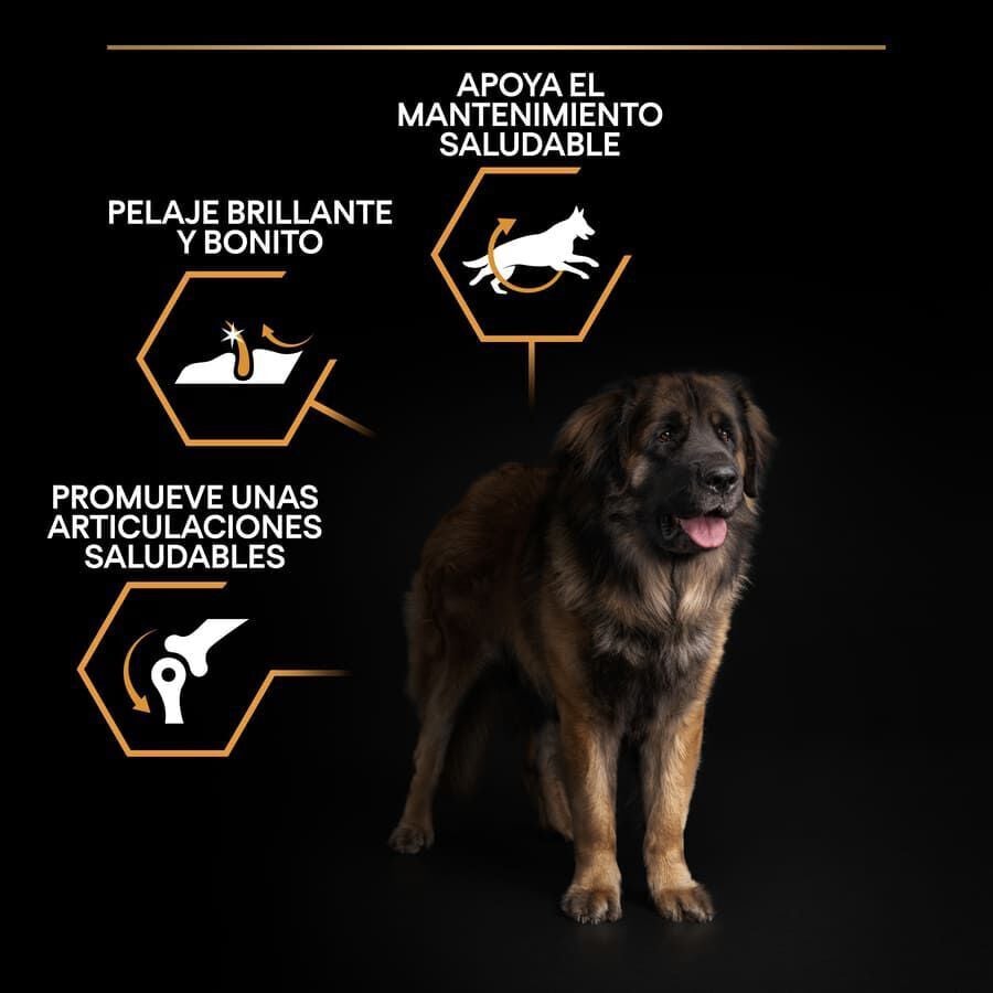 16.5 kg (14 + 2.5 kg &iexcl;gratis!) Pro Plan Large Robust Adult pienso para perros, , large Imagen numero 3