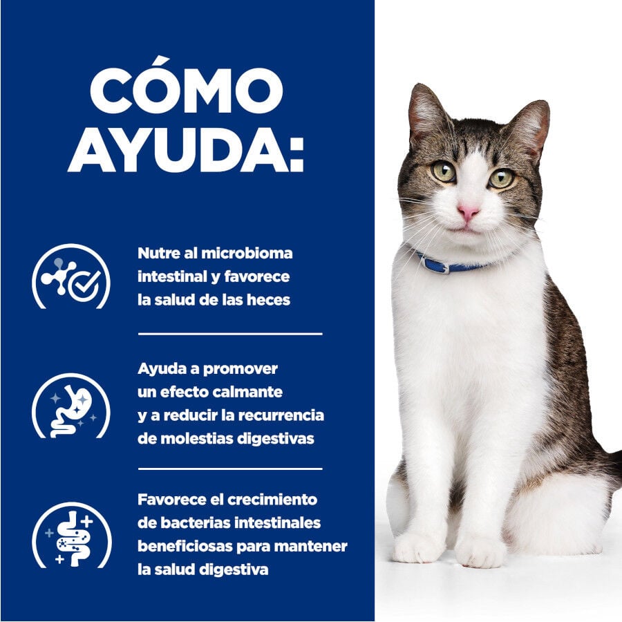 82 g Hill&rsquo;s Prescription Diet Gastrointestinal Biome Stress estofado lata para gatos, , large Imagen numero 4