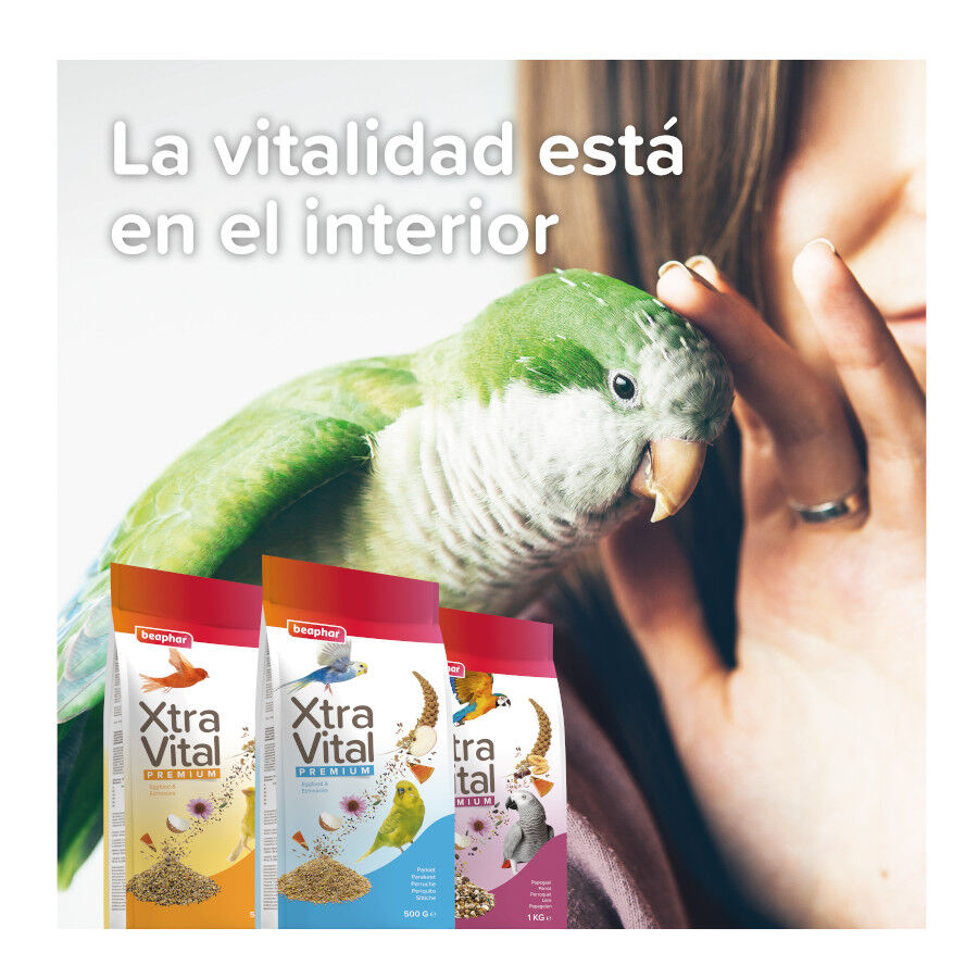 Beaphar XtraVital comida para periquitos, , large indicador imagen numero 7