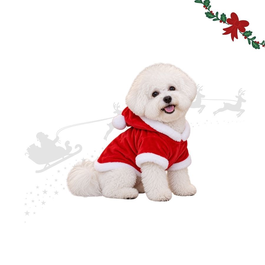 Wonder Christmas Jersey Papa Noel para perros, , large indicador imagen numero 1