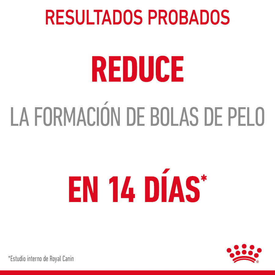85 g Royal Canin Hairball Care Sobre en Gelatina para gatos, , large indicador imagen numero 5