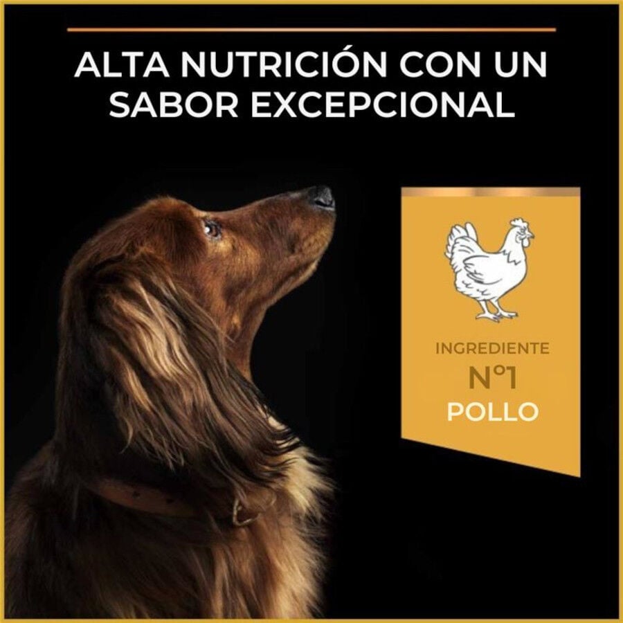 Purina Pro Plan Adult Light Esterilizado Pienso Pollo para perros, , large indicador imagen numero 6