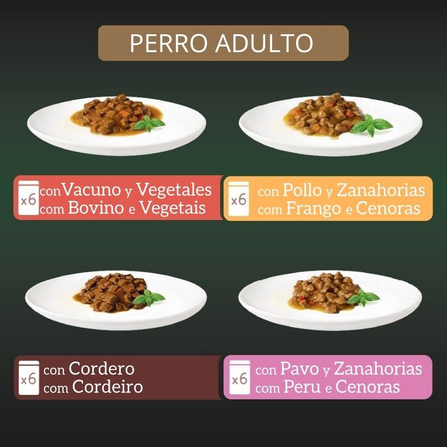 24 x 100 g Milord Adult Receta estilo casero en gelatina Sobres para perros - Multipack, , large indicador imagen numero 3