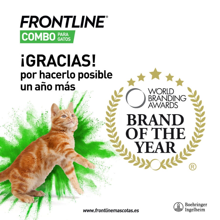Frontline Combo Pipetas Antiparasitarias para gatos y hurones, , large Imagen numero 8