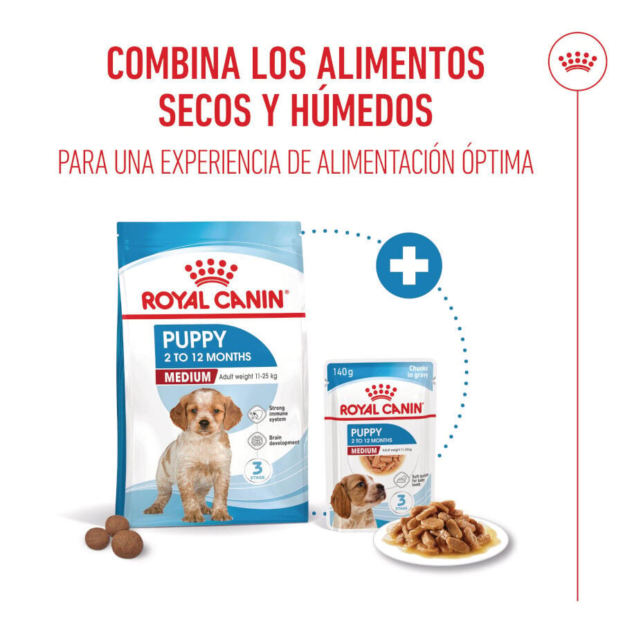 140 g Royal Canin Medium Puppy Sobres, , large Imagen numero 4