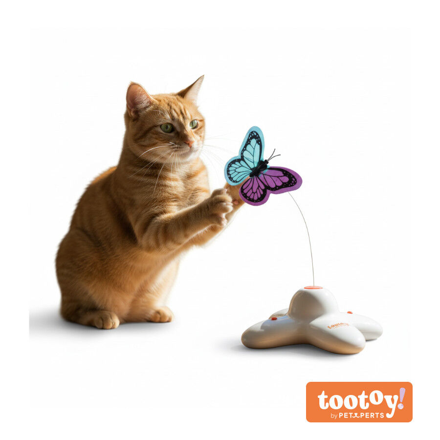 Tootoy! Mariposa Se&ntilde;uelo Interactiva para gatos, , large indicador imagen numero 11