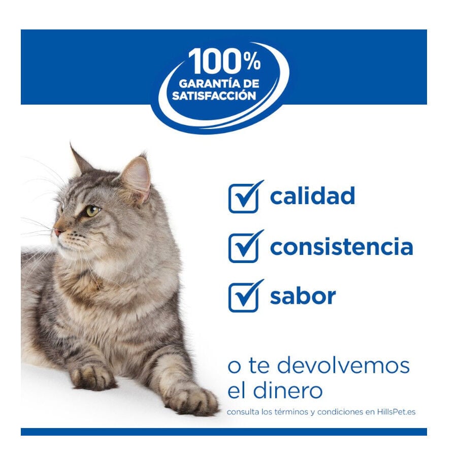 1.5 kg Hill's Science Plan Pienso Salm&oacute;n para gatitos, , large indicador imagen numero 6