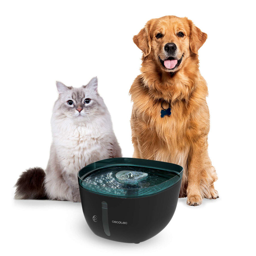 Cecotec Pumba 2200 Refresh Bebedero Autom&aacute;tico para perros y gatos, , large indicador imagen numero 4