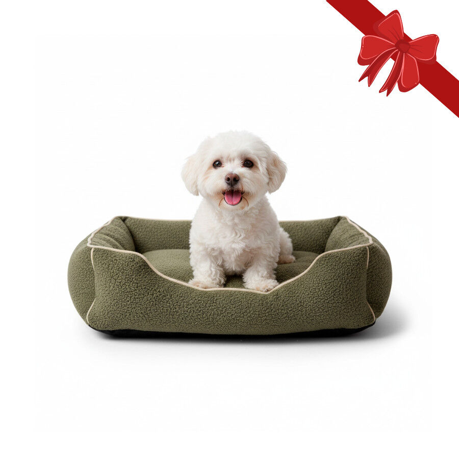 Wonder Christmas Cama Navide&ntilde;a Marr&oacute;n para perros, , large Imagen numero 1