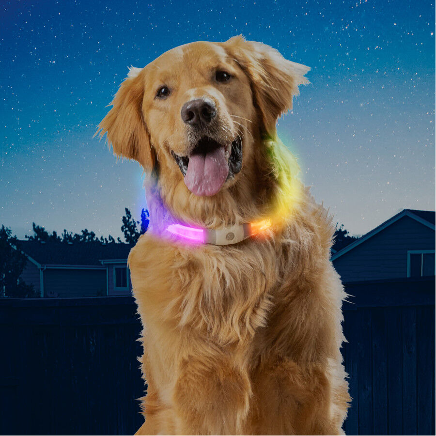 Nite Ize NiteHowl Max Collar de Seguridad LED para perros, , large Imagen numero 2