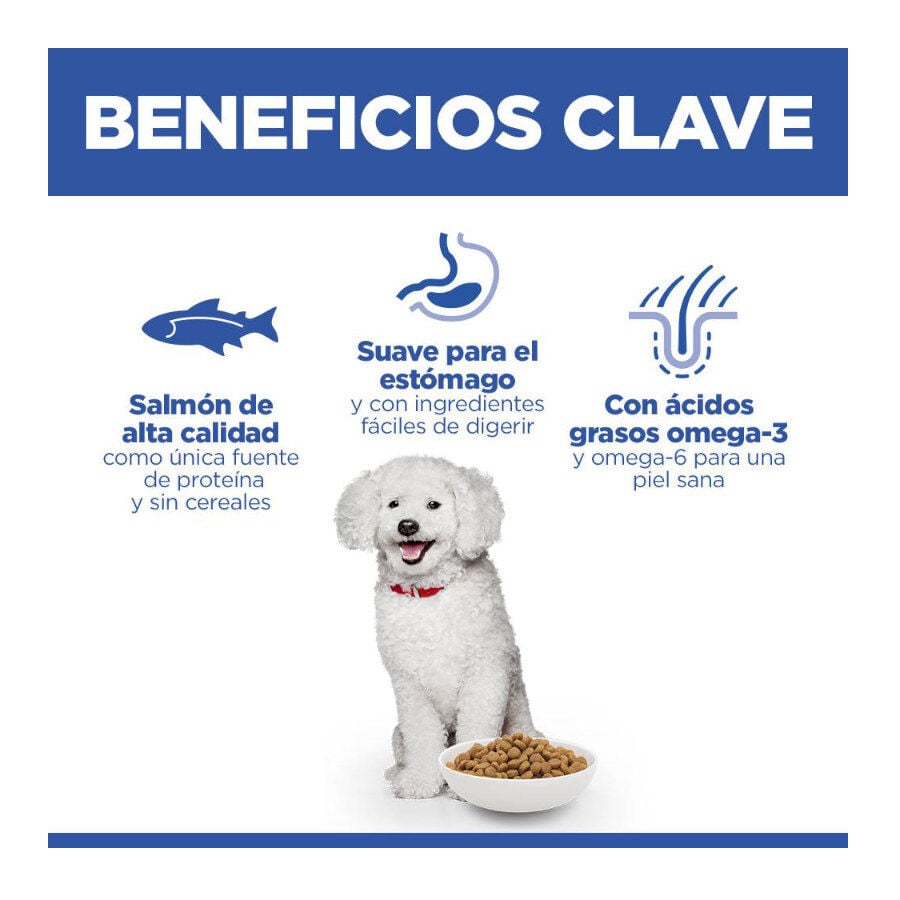 6 kg Hill's Science Plan Hipoalerg&eacute;nico Small y Mini Salm&oacute;n pienso para perros, , large Imagen numero 4