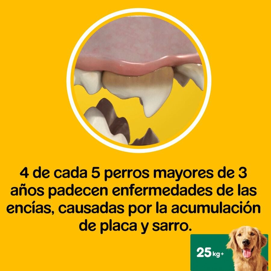 7 barritas Pedigree Dentastix Fresh Snacks Dentales para Perros Grandes, , large Imagen numero 6