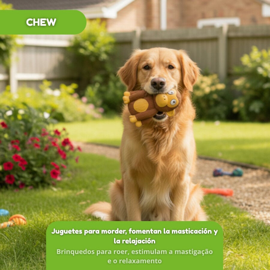 Tootoy! Chimpanc&eacute; Mordedor con Sonido para perros, , large Imagen numero 5