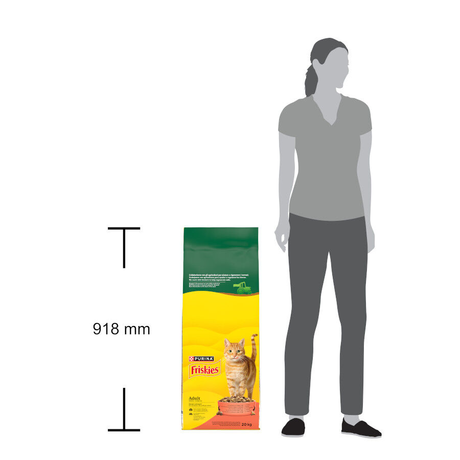 20 kg Friskies Adult Buey con Pollo y Verduras pienso para gatos, , large indicador imagen numero 6