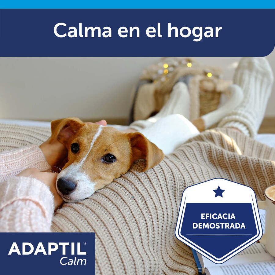 Adaptil Difusor + Recambio Tranquilizante para perros, , large Imagen numero 7