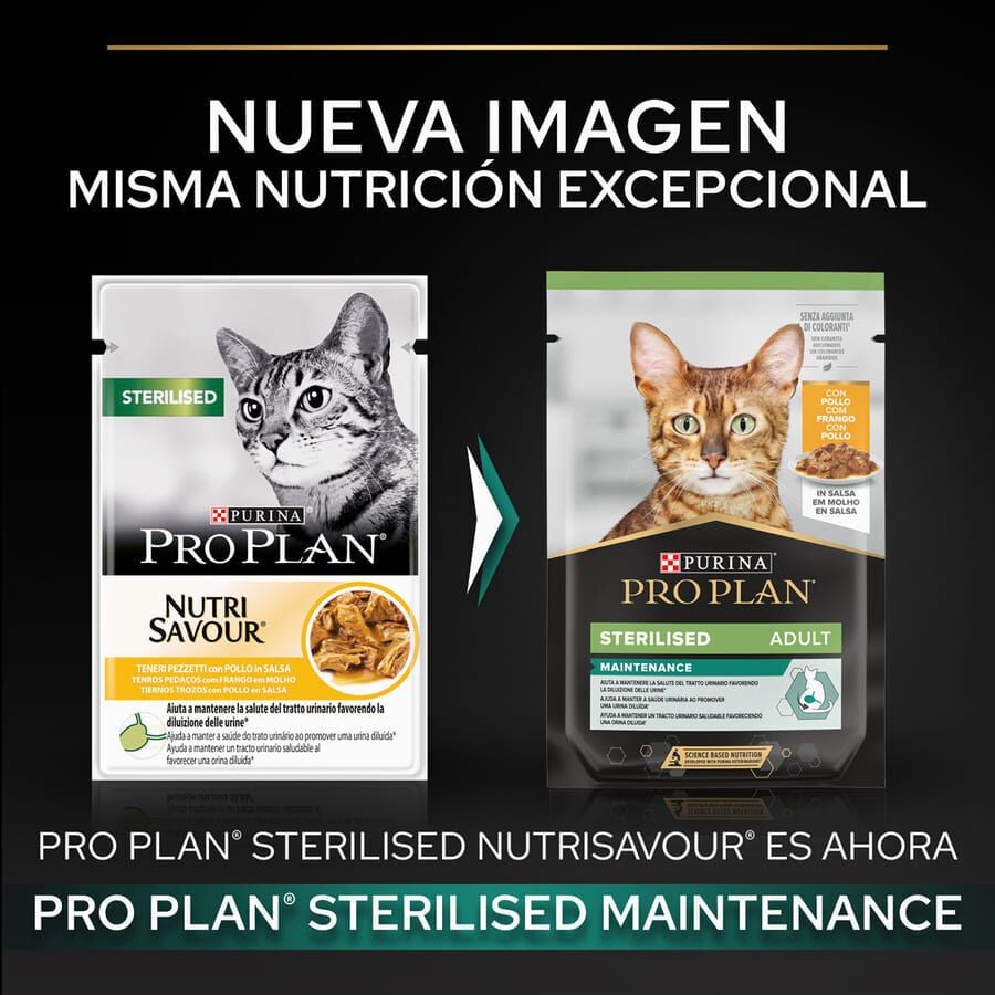 85 g Pro Plan Sterilised Maintenance sobre con Pollo en salsa para gatos, , large indicador imagen numero 2
