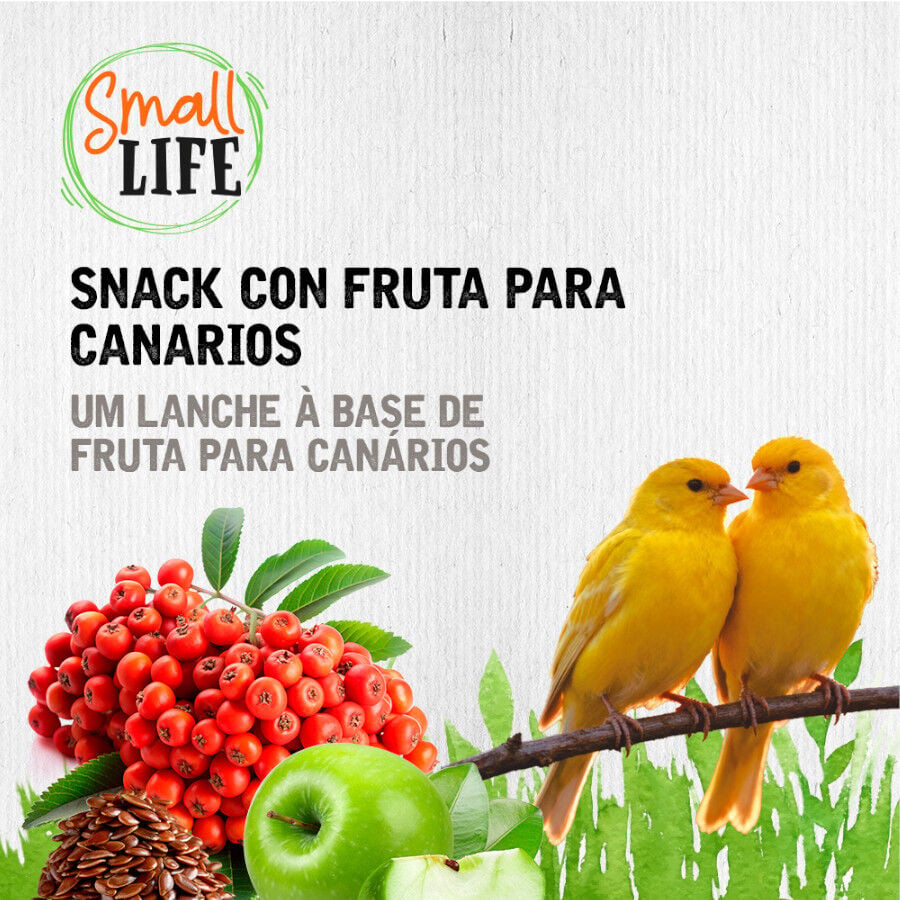 2 barritas Small Life Barritas Snack con Fruta para canarios, , large indicador imagen numero 4