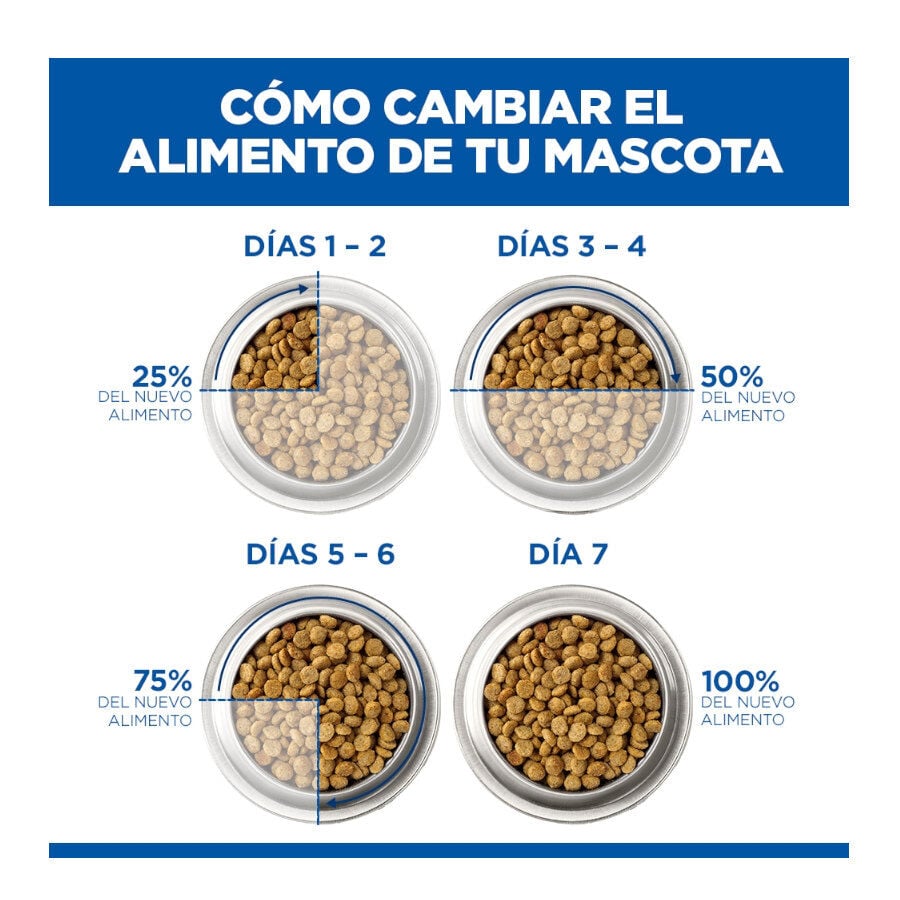 85 g Hill's Science Plan Kitten Pollo sobre en salsa para gatitos, , large indicador imagen numero 8