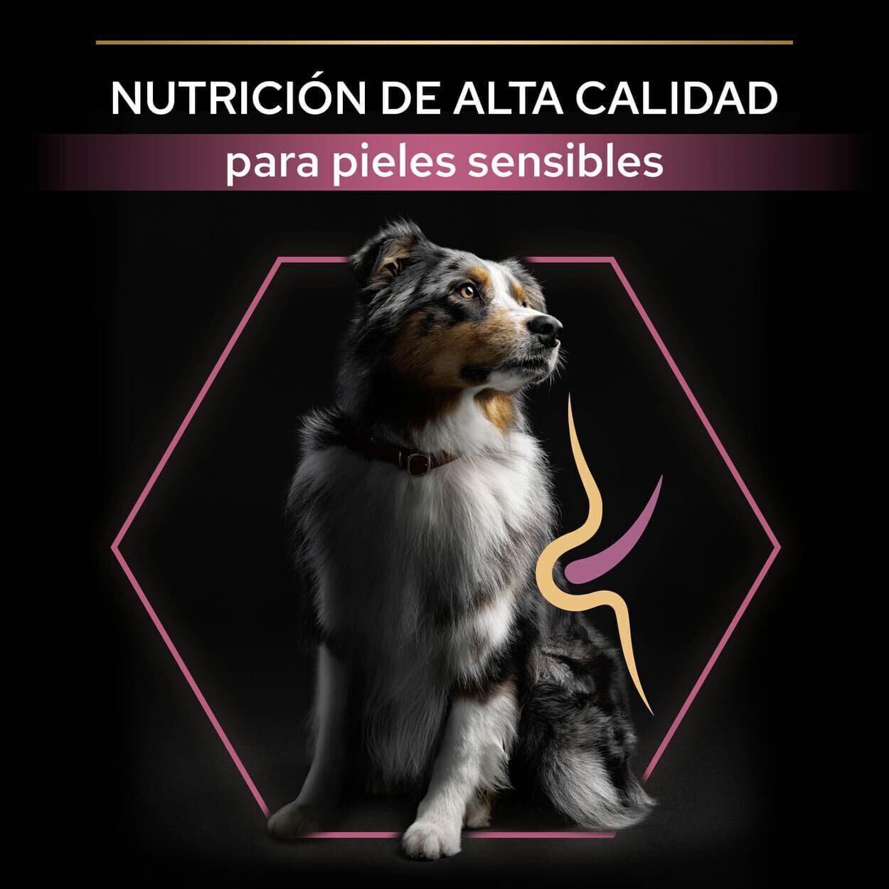 16.5 kg (14 + 2.5 kg &iexcl;gratis!) Pro Plan Adult Medium Sensitive Skin Salm&oacute;n pienso para perros, , large Imagen numero 8