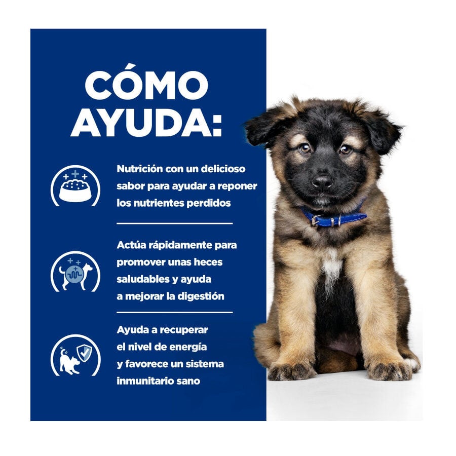12 kg Hill's Prescription Diet I/D Digestive Care Puppy Pienso Seco Pollo para perros, , large indicador imagen numero 4