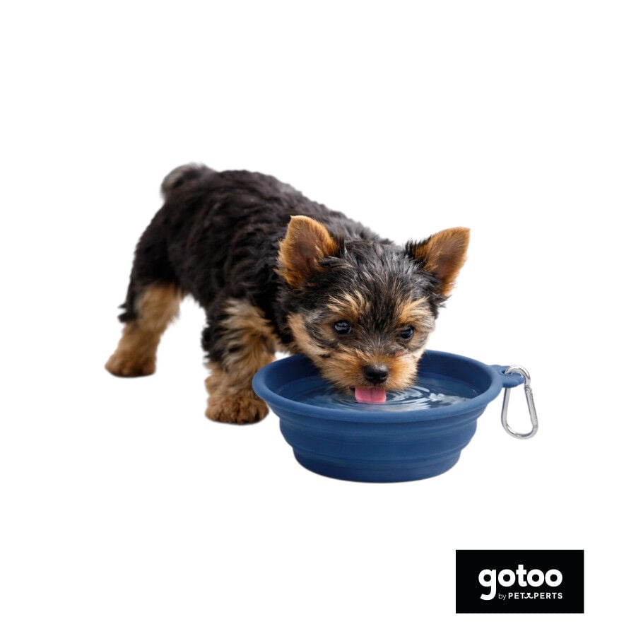 Gotoo Comedero Plegable y Port&aacute;til de Silicona Azul para perros y gatos, , large Imagen numero 7