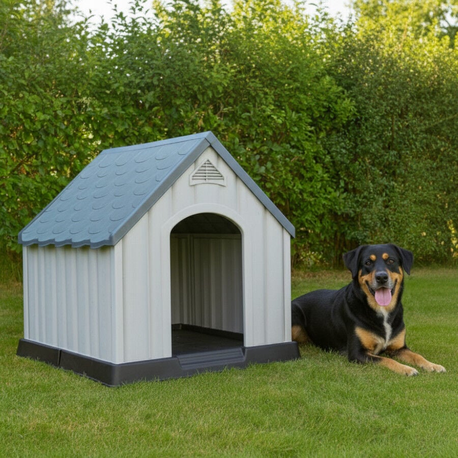 TK-Pet Caseta de Pl&aacute;stico 60% reciclado para perros, , large indicador imagen numero 3