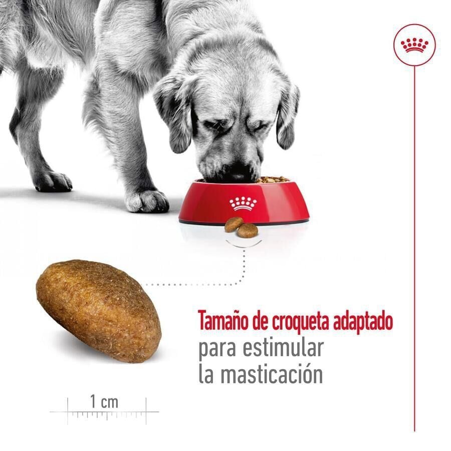 18 kg (15 + 3kg &iexcl;gratis!) Royal Canin Maxi Adult pienso para perros, , large Imagen numero 6