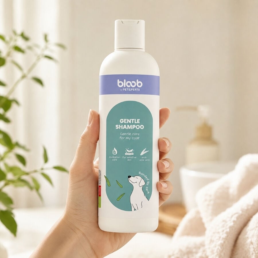 Bloob Champ&uacute; Piel Sensible Aloe Vera para perrros, , large indicador imagen numero 1