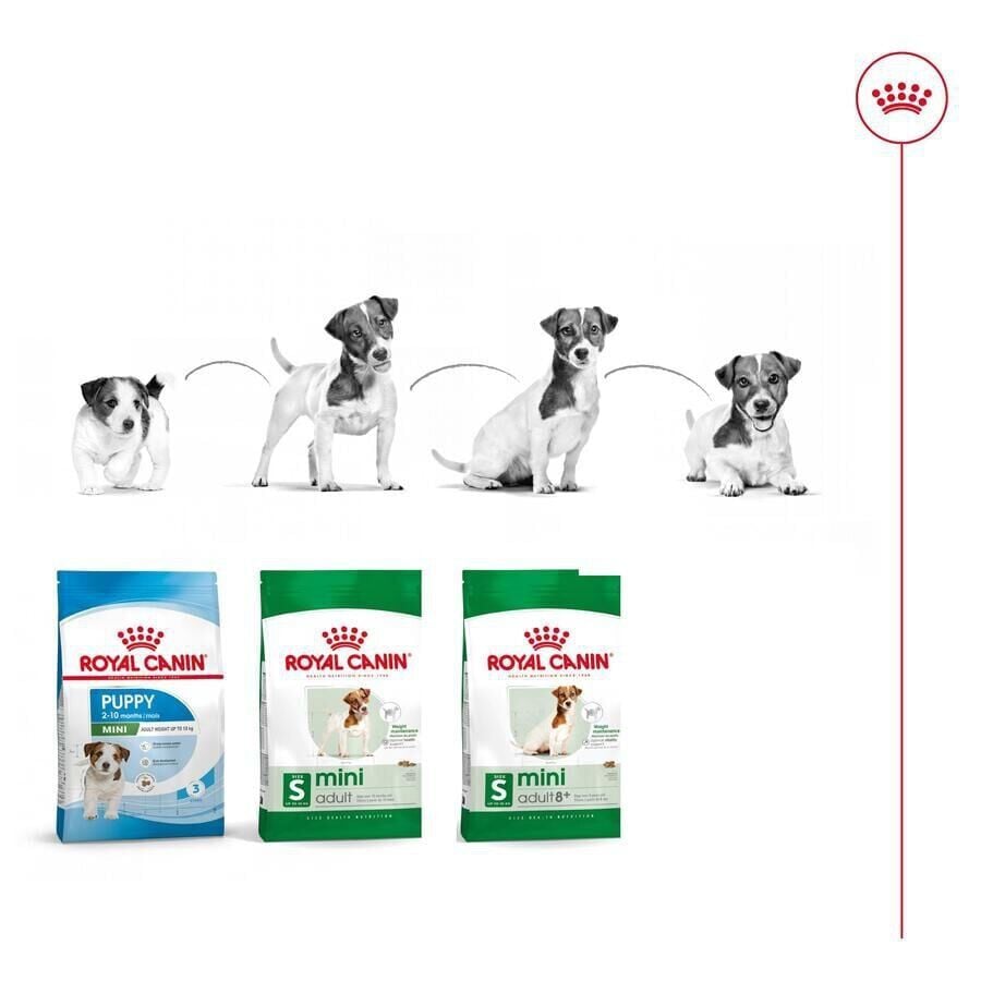 9 kg (8 + 1 kg gr&aacute;tis!) Royal Canin Mini Adult pienso para perros, , large indicador imagen numero 11