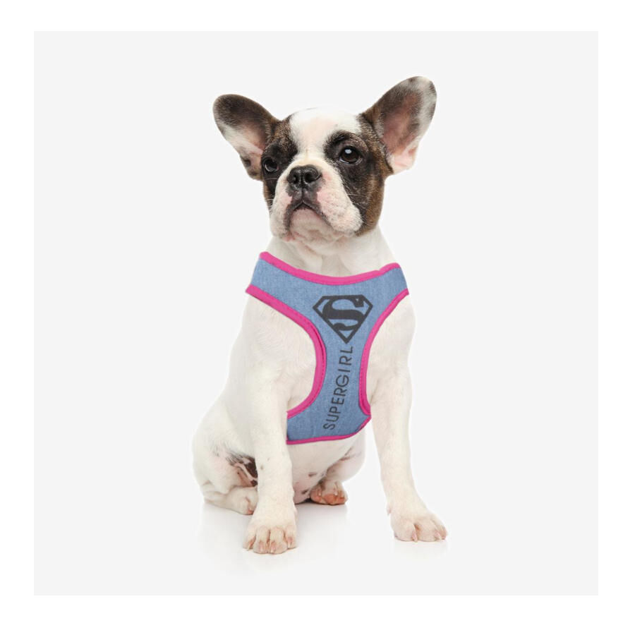 DC Comics Supergirl Arn&eacute;s Estampado para perros, , large indicador imagen numero 2