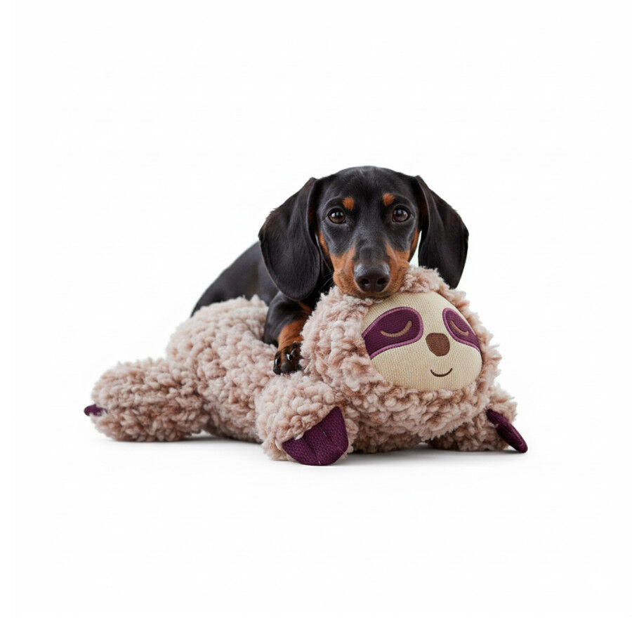 All For Paws Calming Pals Perezoso con Lavanda Juguete para perros  , , large indicador imagen numero 3