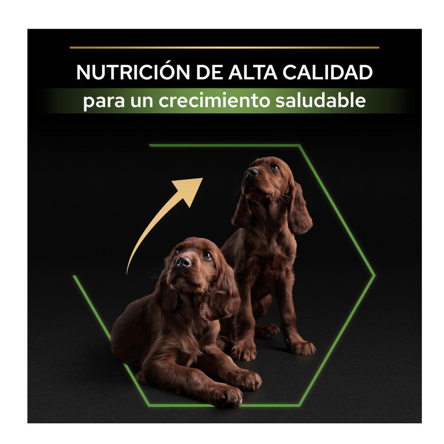 12 kg Pro Plan Puppy Large Athletic Pollo pienso para perros, , large Imagen numero 8