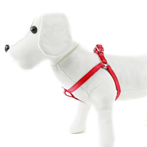Nayeco Basic arn&eacute;s para perros rojo Imagen numero 1