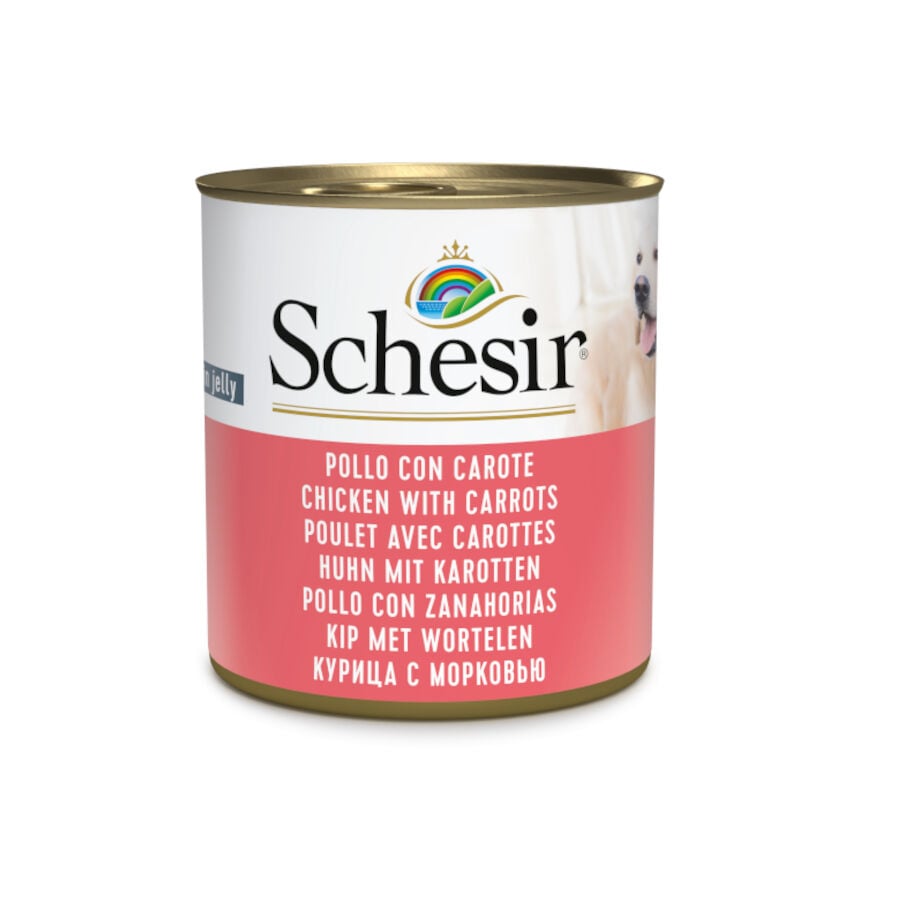 285 g Schesir Adult pollo con zanahorias lata para perros, , large Imagen numero 1
