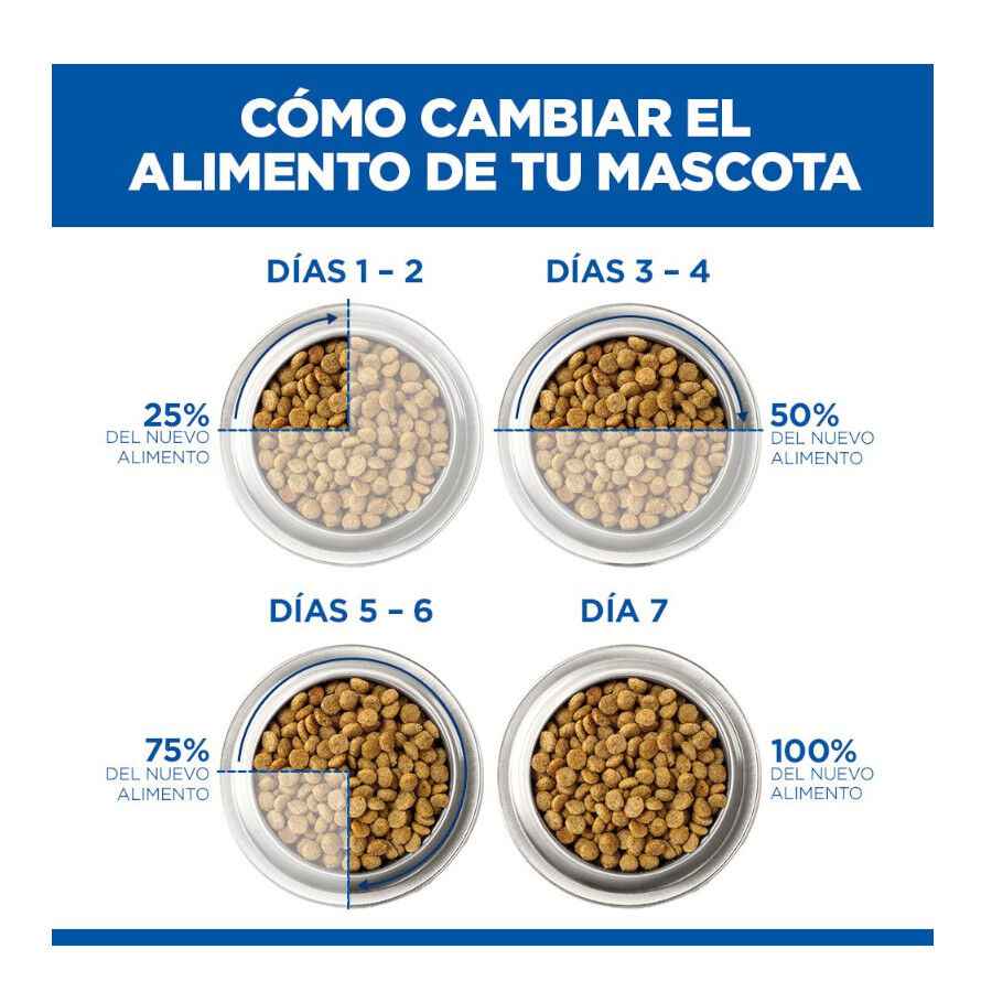 14 kg Hill's Science Plan Adult Medium Pollo pienso para perros, , large indicador imagen numero 12