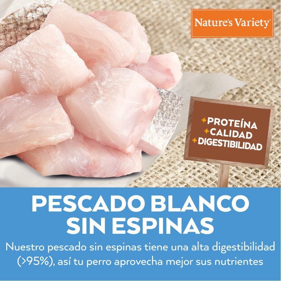 12 kg Nature's Variety Healthy Grains Adult Medium Maxi Pescado Blanco pienso para perros, , large Imagen numero 2