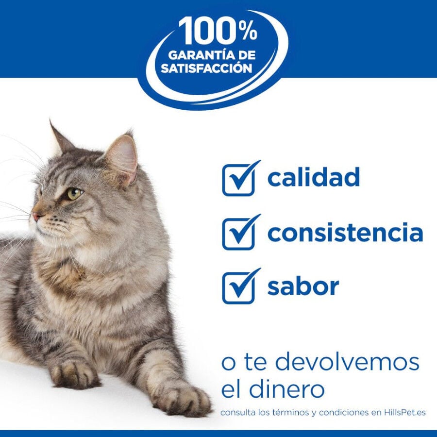 1.5 kg Hill's Science Plan Youthful Vitality Pollo pienso para gatos, , large Imagen numero 8