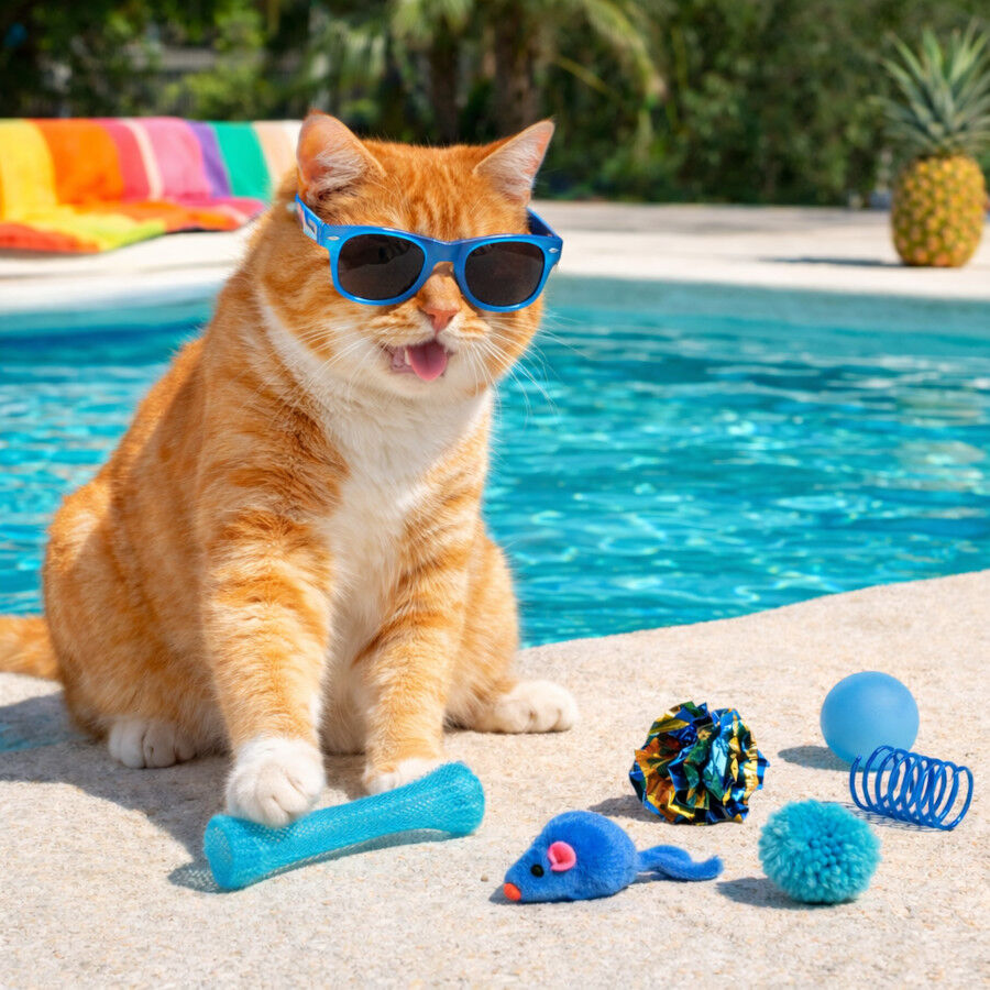 Summer Vibes Dolce Vita Set Juguetes para gatos, , large Imagen numero 1