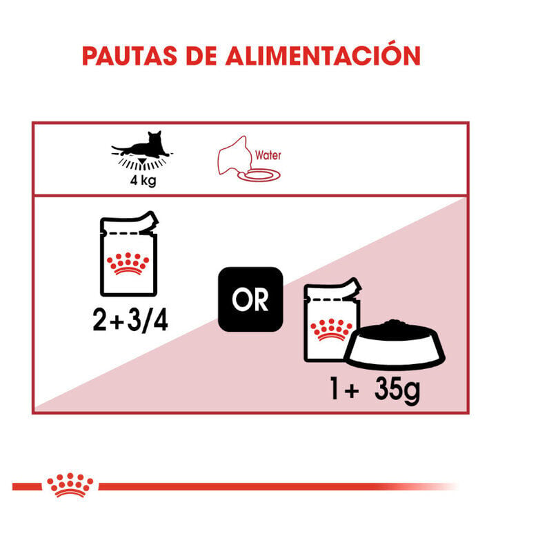 85 g Royal Canin Instinctive pat&eacute; sobre para gatos, , large indicador imagen numero 7