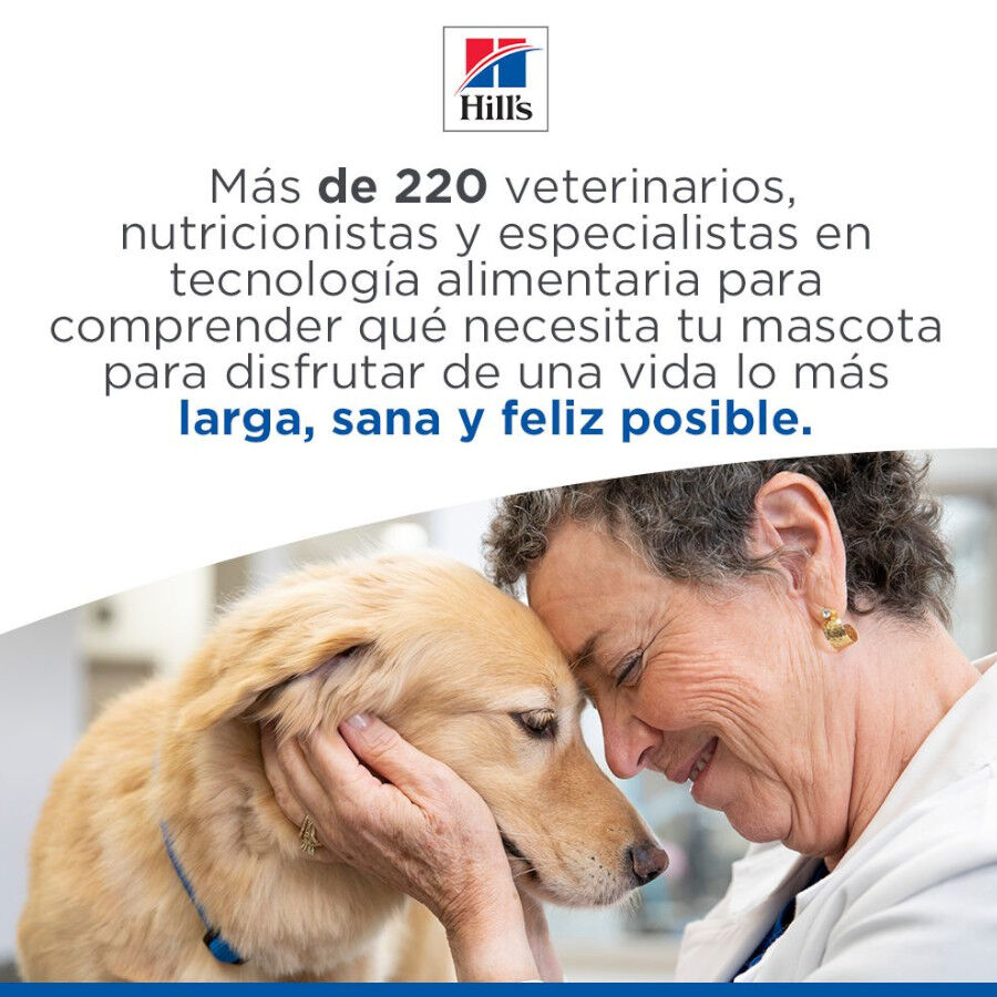 363 g Hill's Science Plan Mature Estofado con pollo y verduras lata para perros, , large indicador imagen numero 6