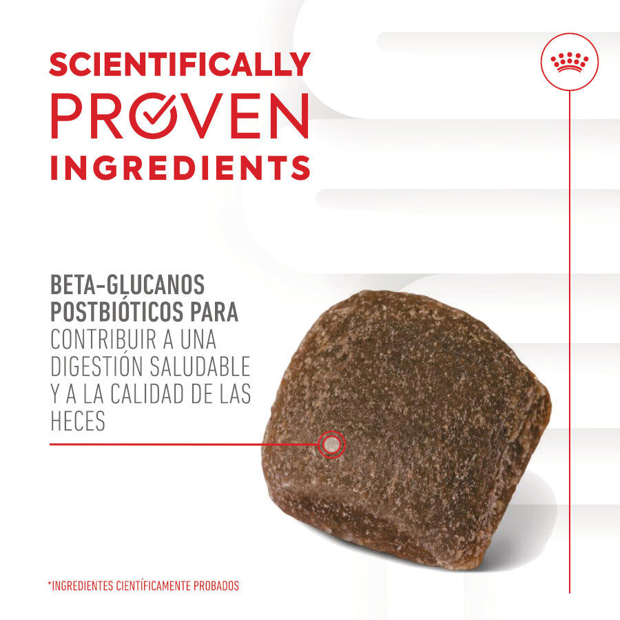 160 g Royal Canin Digestion Chews Suplemento Nutricional para perros con sensibilidad, , large Imagen numero 6
