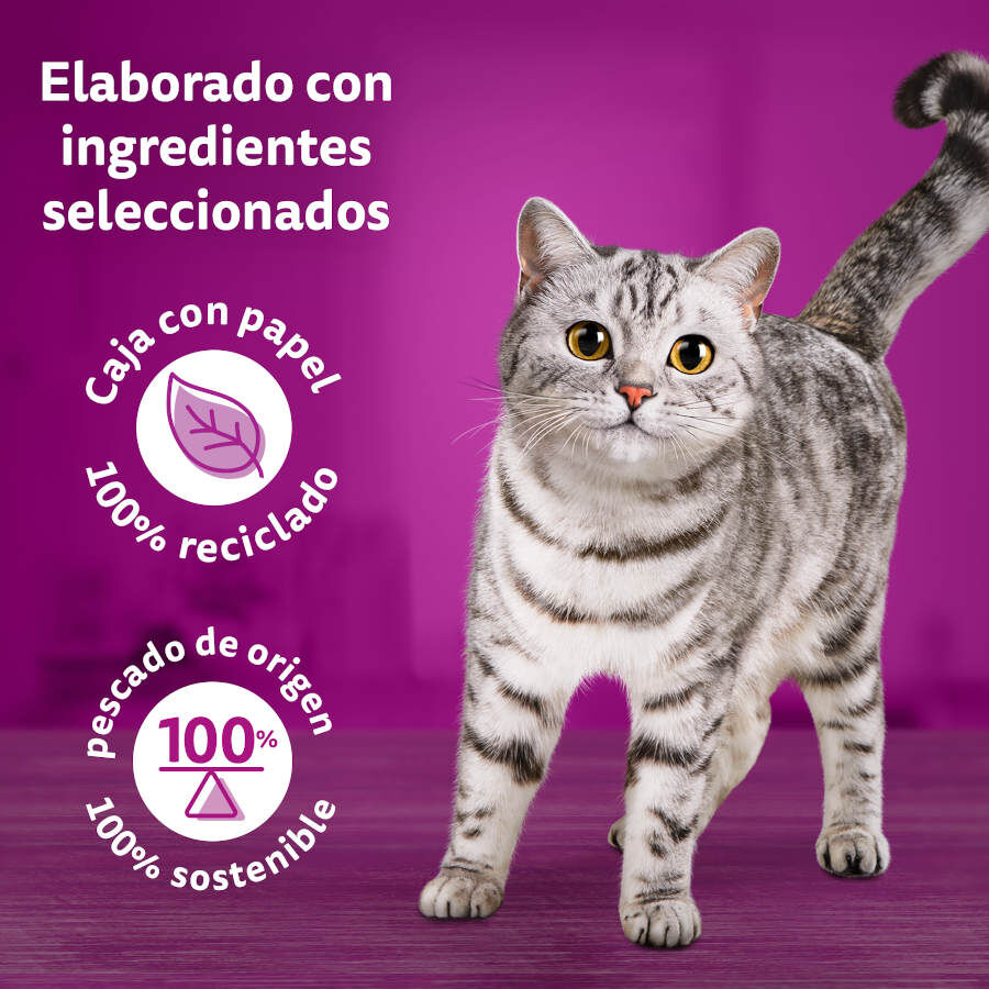 12 sobres x 85 g Whiskas Tasty Mix Country Sobres en Salsa para gatos, , large Imagen numero 2